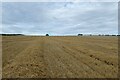 NZ1622 : Stubble field near Hilton by DS Pugh