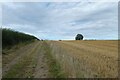 NZ1622 : Farm track north of Hilton Grange by DS Pugh