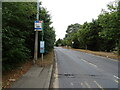 Bus stop on Poynters Lane (B1017)