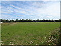 Great Bridge Playing Fields View