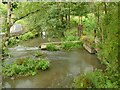 Sluices on Mearley Brook (1)