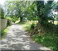 Old lane on the west side of Corbridge