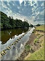 SK2571 : River Derwent  by Graham Hogg