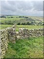 Field wall and stile