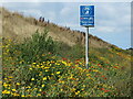 Signage, Northern Promenade