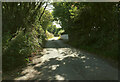 SX7751 : Lane near Ritson by Derek Harper