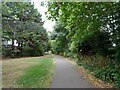 Path, Hackney Marsh