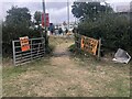 The Maypole car boot