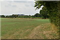 Field south of Gollard Copse