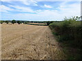 Field boundary near The Wyke