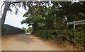 Lane to Caradoc Farm