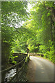 Bridge over Dean Burn