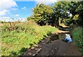 Track alongside Mill, Stream