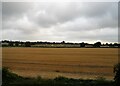 Stubble field near Gooseberry Green