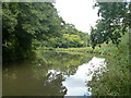 Bend on River Wey Navigation