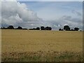 Stubble field off Southend Road