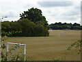 Sports fields, White