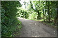 Track, Long Copse