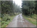 Forest road to Mam Mor on the Aird