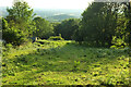 Lower slope of the Malverns