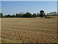 Stubble field off Wyse