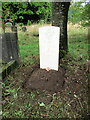 SO9975 : Lickey Cemetery Extension: the grave of Flight-Sgt H S Cutler 9th September 2022 by Roy Hughes