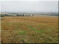 Oat stubble at Hillend