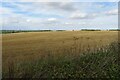 TL2430 : Farmland on Lannock Hill by Philip Jeffrey