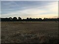 Bales in field near Lovat Bridge