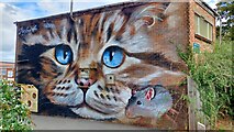 SP3265 : Cat mural by Mark Percy