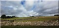 Gallops at Conkwell Grange Equestrian Farm