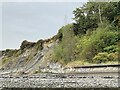 Cliff face, Penarth