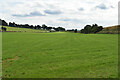 Large field near Cleatop