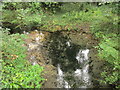 Reflections in the Willow Brook, Weldon