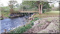 SD5696 : Footbridge over the River Mint by Rich Tea