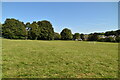 Playing field in Lyminge