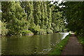 Bridgewater Canal