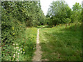 Bridleway 3421 towards Toat Lane