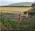 SO3119 : Four field gates in rural Monmouthshire by Jaggery
