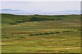 Moorland near Monkstadt