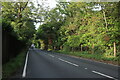 Gong Hill entering Farnham