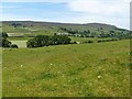 A circular walk from Reeth via Fremington Edge [60]