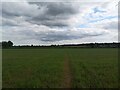 Farmland near Lodge Farm