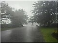 SS6492 : Rain in Victoria Park, Swansea by Emma M Baker