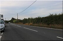 TQ7840 : Cranbrook Road, Knoxbridge by David Howard