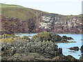 Rocky coast at St Abb