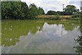 Pond and power lines by Back Lane