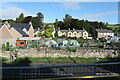 California (Allotment) Gardens, Haydon Bridge