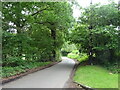 Green Lane towards Burnham