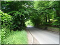 Ship Hill towards the A355